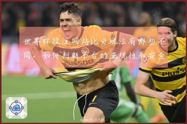 世界杯投注网站比分玩法有哪些不同，如何判断平台的正规性和安全性