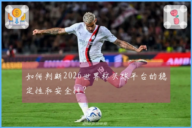 如何判断2026世界杯买球平台的稳定性和安全性？