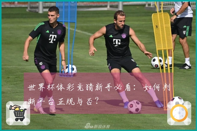 世界杯体彩竞猜新手必看：如何判断平台正规与否？