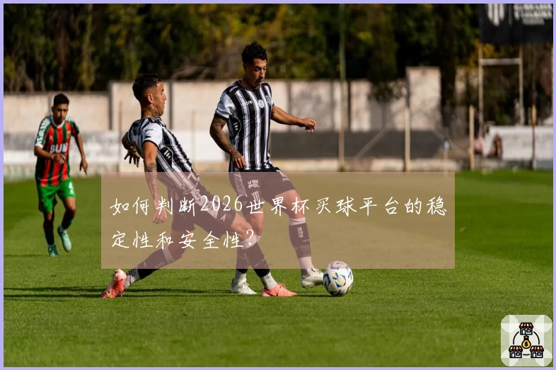 如何判断2026世界杯买球平台的稳定性和安全性？